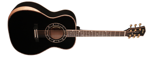 1610869208048-Cort Seven Stars Limited TBK Semi Acoustic Guitar with Case.png